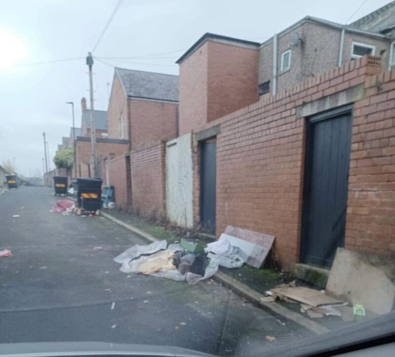 Labour councillors take action to tackle litter and fly-tipping on Wingrove Avenue
