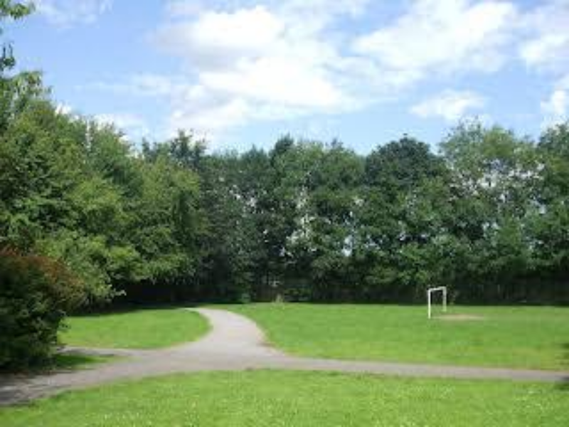 Labour Backing Greener, Healthier Neighbourhoods