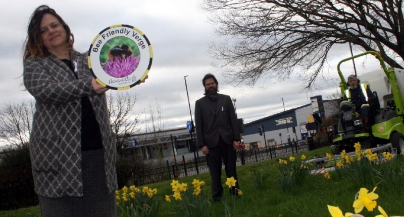 Labour investment creates new bee-friendly verges across Newcastle